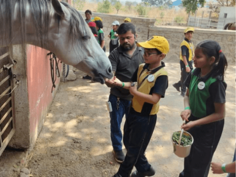 Educational tour Japalouppe Equestrian Centre 2024